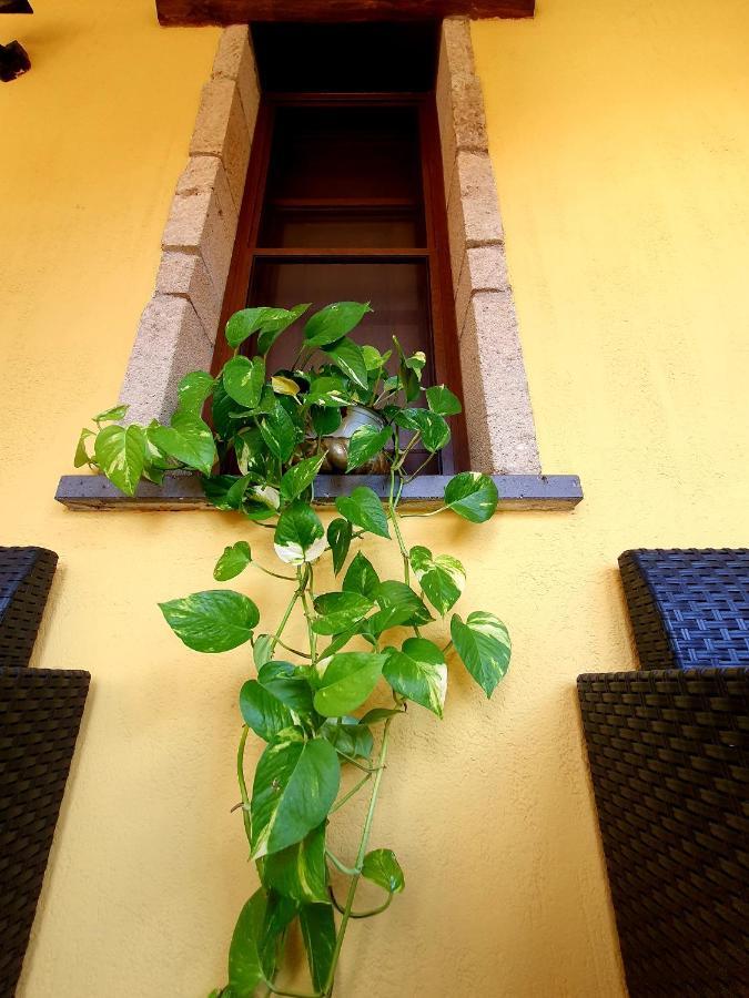 Palmas Anna'S Rooms Is Procilis Palmas Arborea Εξωτερικό φωτογραφία