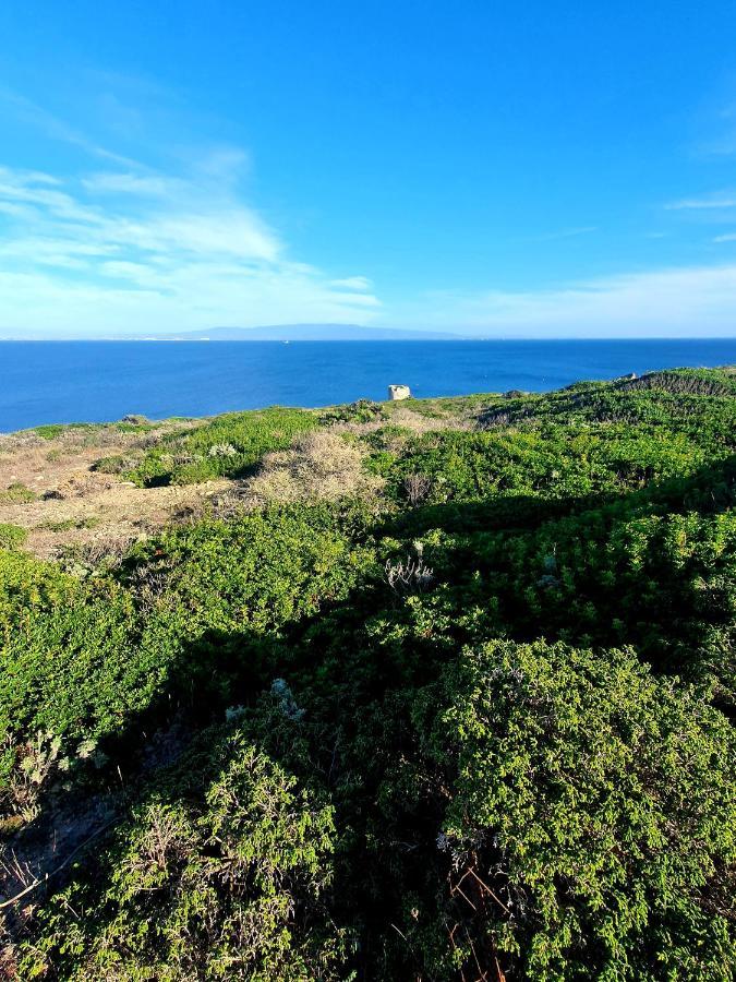 Palmas Anna'S Rooms Is Procilis Palmas Arborea Εξωτερικό φωτογραφία