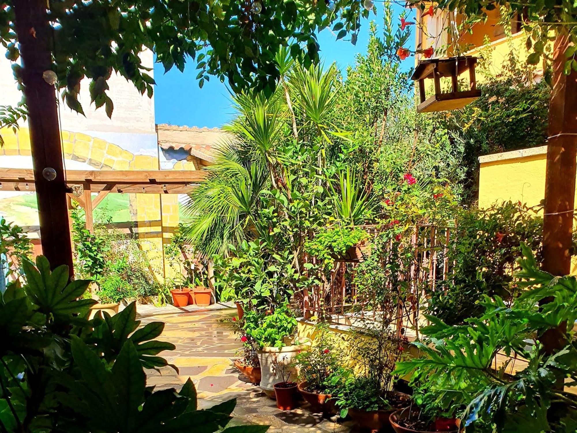 Palmas Anna'S Rooms Is Procilis Palmas Arborea Εξωτερικό φωτογραφία